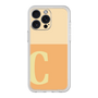 プレミアムパネル［ オリジナル - initial two tone - C orange ］