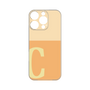 プレミアムパネル［ オリジナル - initial two tone - C orange ］