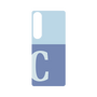 プレミアムパネル［ オリジナル - initial two tone - C blue ］