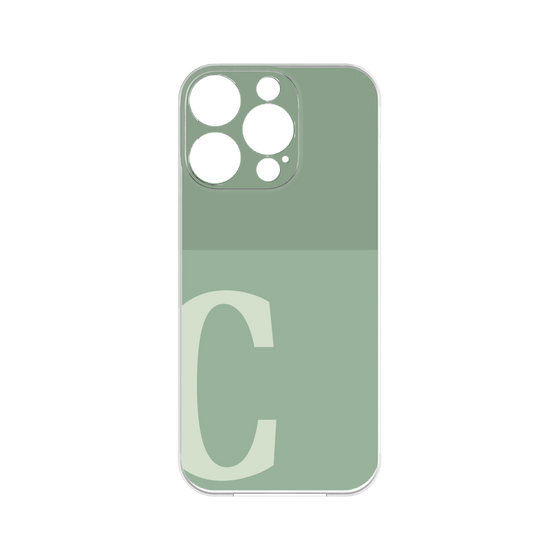 プレミアムパネル［ オリジナル - initial two tone - C green ］