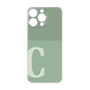 プレミアムパネル［ オリジナル - initial two tone - C green ］
