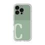 プレミアムパネル［ オリジナル - initial two tone - C green ］