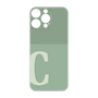プレミアムパネル［ オリジナル - initial two tone - C green ］