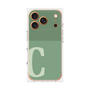 プレミアムパネル［ オリジナル - initial two tone - C green ］