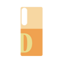 プレミアムパネル［ オリジナル - initial two tone - D orange ］