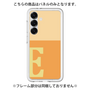 プレミアムパネル［ オリジナル - initial two tone - E orange ］