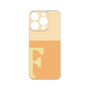 プレミアムパネル［ オリジナル - initial two tone - F orange ］