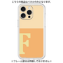 プレミアムパネル［ オリジナル - initial two tone - F orange ］