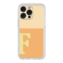 プレミアムパネル［ オリジナル - initial two tone - F orange ］