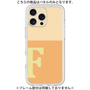 プレミアムパネル［ オリジナル - initial two tone - F orange ］