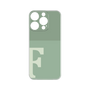 プレミアムパネル［ オリジナル - initial two tone - F green ］