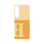 プレミアムパネル［ オリジナル - initial two tone - H orange ］