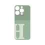 プレミアムパネル［ オリジナル - initial two tone - H green ］