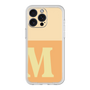 プレミアムパネル［ オリジナル - initial two tone - M orange ］