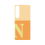 プレミアムパネル［ オリジナル - initial two tone - N orange ］