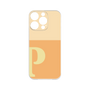 プレミアムパネル［ オリジナル - initial two tone - P orange ］