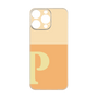 プレミアムパネル［ オリジナル - initial two tone - P orange ］
