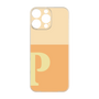 プレミアムパネル［ オリジナル - initial two tone - P orange ］
