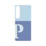 プレミアムパネル［ オリジナル - initial two tone - P blue ］