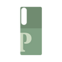 プレミアムパネル［ オリジナル - initial two tone - P green ］