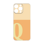 プレミアムパネル［ オリジナル - initial two tone - Q orange ］
