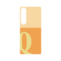 プレミアムパネル［ オリジナル - initial two tone - Q orange ］
