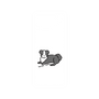 プレミアムパネル［ オリジナル - CASEPLAYイヌ - border collie ］