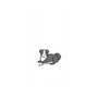 プレミアムパネル［ オリジナル - CASEPLAYイヌ - border collie ］