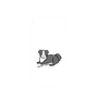 プレミアムパネル［ オリジナル - CASEPLAYイヌ - border collie ］