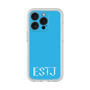 プレミアムパネル［ オリジナル - ESTJ 幹部 - アルファベット - ブルー ］