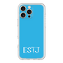 プレミアムパネル［ オリジナル - ESTJ 幹部 - アルファベット - ブルー ］