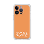 プレミアムパネル［ オリジナル - ESTP 起業家 - アルファベット - オレンジ ］
