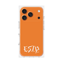 プレミアムパネル［ オリジナル - ESTP 起業家 - アルファベット - オレンジ ］
