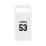 プレミアムパネル［ 千葉ロッテマリーンズ - #53 KIMURA ］