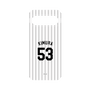 プレミアムパネル［ 千葉ロッテマリーンズ - #53 KIMURA ］