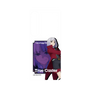 プレミアムパネル［ Fate／strange Fake - 真キャスター ］