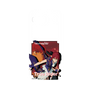 プレミアムパネル［ Fate／strange Fake - 真ライダー ］