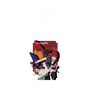 プレミアムパネル［ Fate／strange Fake - 真ライダー ］