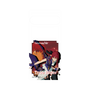 プレミアムパネル［ Fate／strange Fake - 真ライダー ］