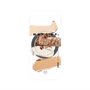 プレミアムパネル with Pixelsnap［ Nudy-A ］