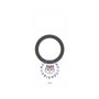 プレミアムパネル with Pixelsnap［ クピラムフレンズ - ロゴ - ラム ］