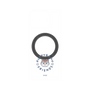 プレミアムパネル with Pixelsnap［ クピラムフレンズ - ロゴ - ラム ］