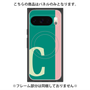 プレミアムパネル with Pixelsnap［ オリジナル - initial color line - C green ］