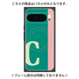 プレミアムパネル with Pixelsnap［ オリジナル - initial color line - C green ］