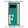 プレミアムパネル with Pixelsnap［ オリジナル - initial color line - F green ］