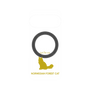 プレミアムパネル with Pixelsnap［ &UCHINOCO - ノルウェージャンフォレストキャット ］
