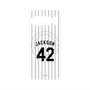 プレミアムパネル with Pixelsnap［ 千葉ロッテマリーンズ - #42 JACKSON ］