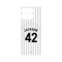 プレミアムパネル with Pixelsnap［ 千葉ロッテマリーンズ - #42 JACKSON ］