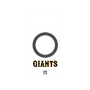 プレミアムパネル with Pixelsnap［ 読売ジャイアンツ - ロゴ - クリア ］