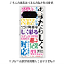 プレミアムパネル with Pixelsnap［ What is CASEPLAY? ］